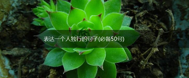表达一个人独行的句子(必备50句),第1张