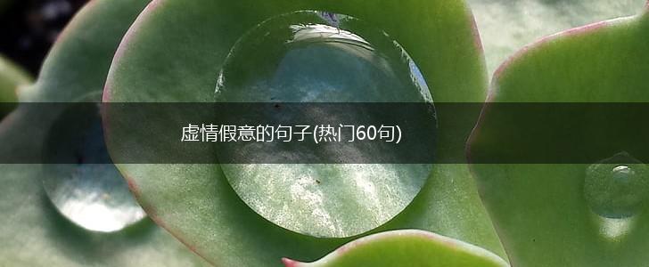 虚情假意的句子(热门60句),第1张