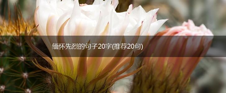 缅怀先烈的句子20字(推荐20句),第1张