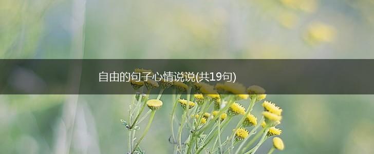 自由的句子心情说说(共19句),第1张