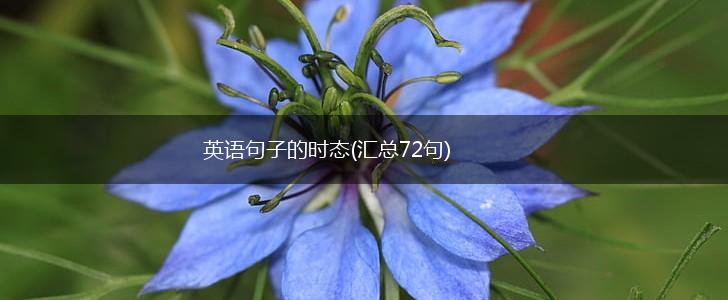 英语句子的时态(汇总72句),第1张
