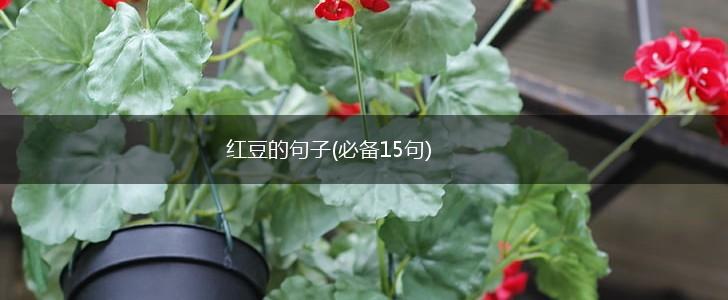 红豆的句子(必备15句),第1张