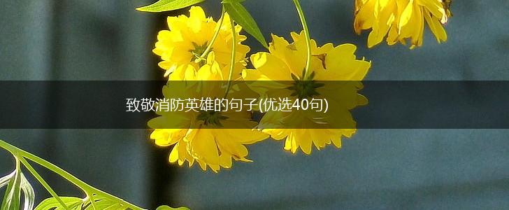 致敬消防英雄的句子(优选40句),第1张