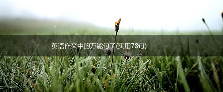 英语作文中的万能句子(实用78句),第1张