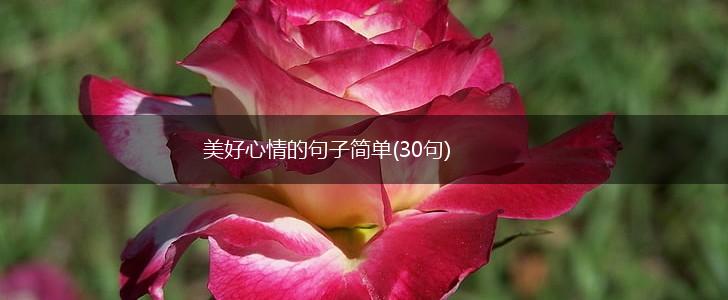 美好心情的句子简单(30句),第1张