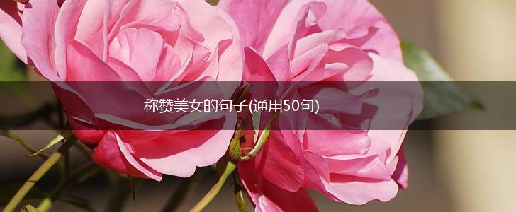 称赞美女的句子(通用50句),第1张