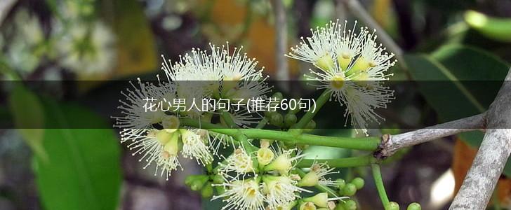 花心男人的句子(推荐60句),第1张