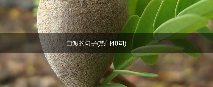 自渡的句子(热门40句),第1张